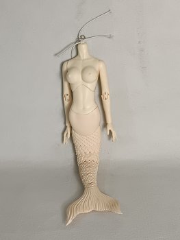 1/3 Mermaid body 1/3 Mermaid body