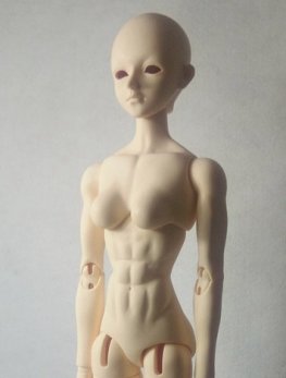 66cm-girl-body-2jpg.image.263x347.jpg